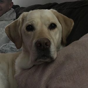 Meet your Posher, Steve